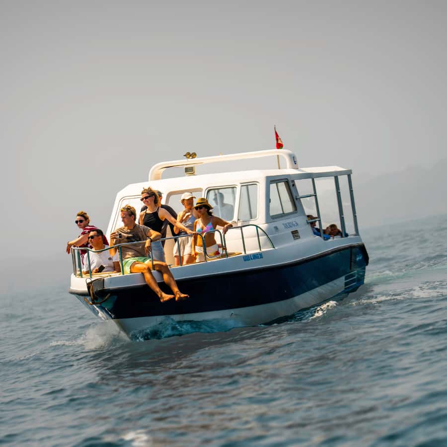 Muscat: Dolphin Watching and Snorkeling Trip - Key points to know before you go