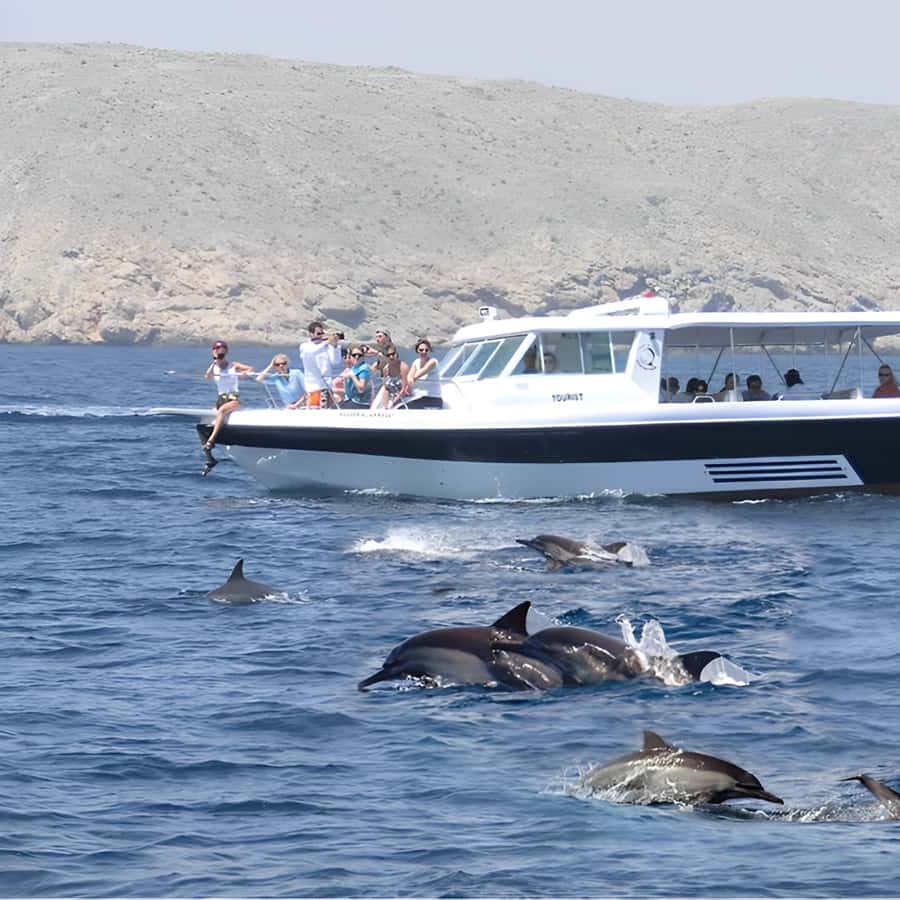 Muscat: Dolphin Watching and Snorkeling Trip - What the boat trip feels like between stops
