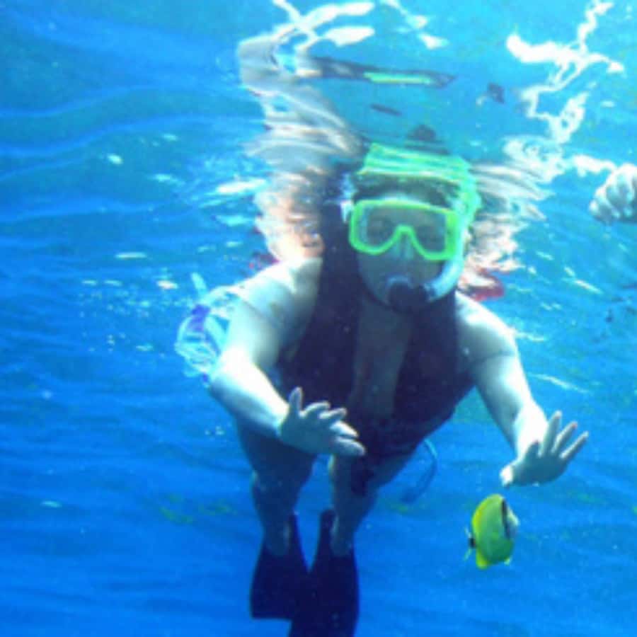 Muscat: Dolphin Watching and Snorkeling Trip - What to bring and what to confirm