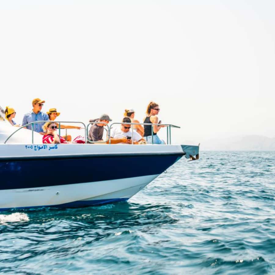 Muscat: Dolphin Watching and Snorkeling Trip - Who will enjoy this Muscat sea trip?