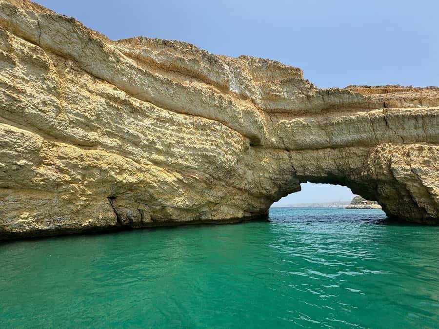 Muscat: Dolphin Watching Boat Amazing Trip - Dolphins, wildlife ethics, and realistic expectations