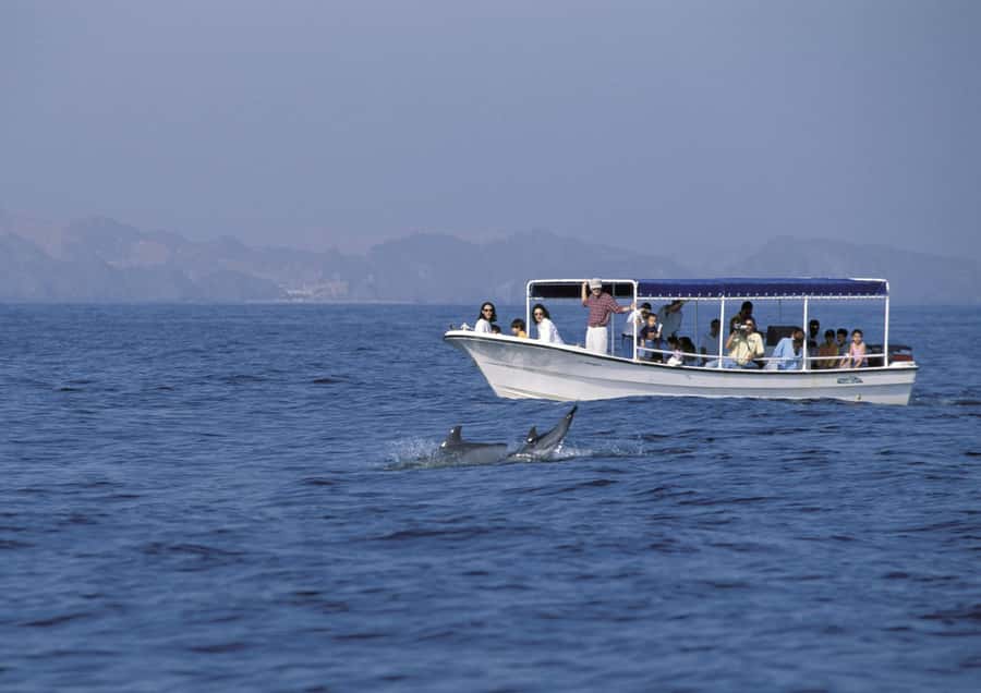 Muscat: Dolphin Watching Boat Amazing Trip - Who will enjoy this boat trip most?