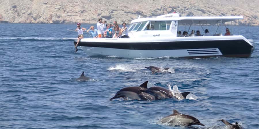 Muscat: Dolphin Watching Boat Tour - Setting out from Marina Bandar Al Rowdha