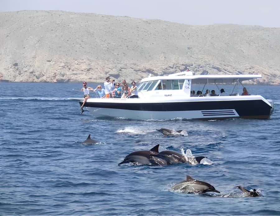 Muscat: Dolphin Watching Boat Trip with Snacks & Local Guide - Watching dolphins in open water