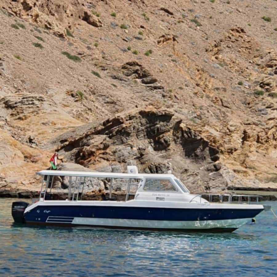 Muscat: Dolphin Watching Boat Trip with Snacks & Local Guide - What the $60 price really buys