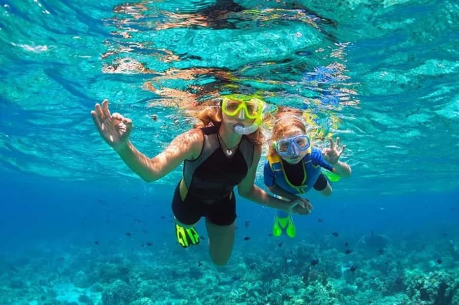Muscat: Snorkeling and Dolphin Watching Tour - Dolphin watching in Omani waters