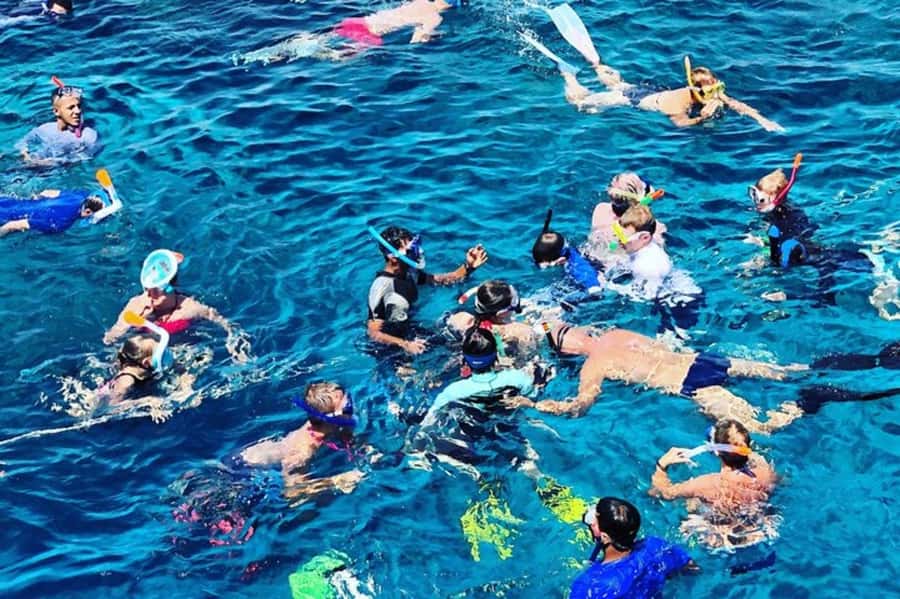 Muscat: Snorkeling and Dolphin Watching Tour - Snorkeling among fish and turtles