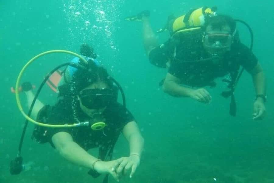 Muscat: Snorkeling and Dolphin Watching Tour - A closer look at the crew and languages