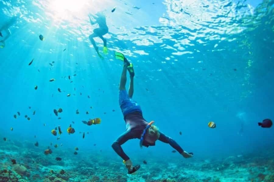 Muscat: Snorkeling and Dolphin Watching Tour - Who will enjoy this Muscat outing most