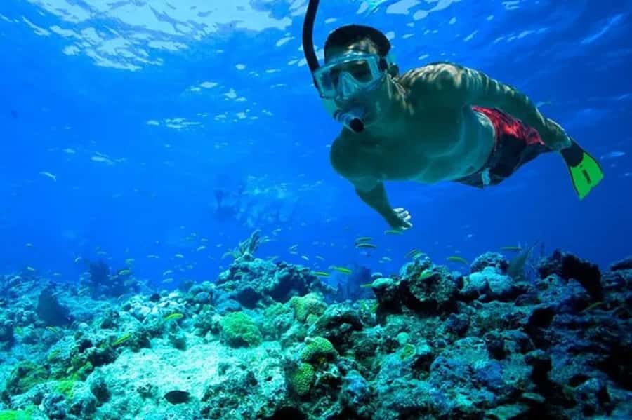 Muscat: Snorkeling and Dolphin Watching Tour - Timing, cancellation, and practical planning