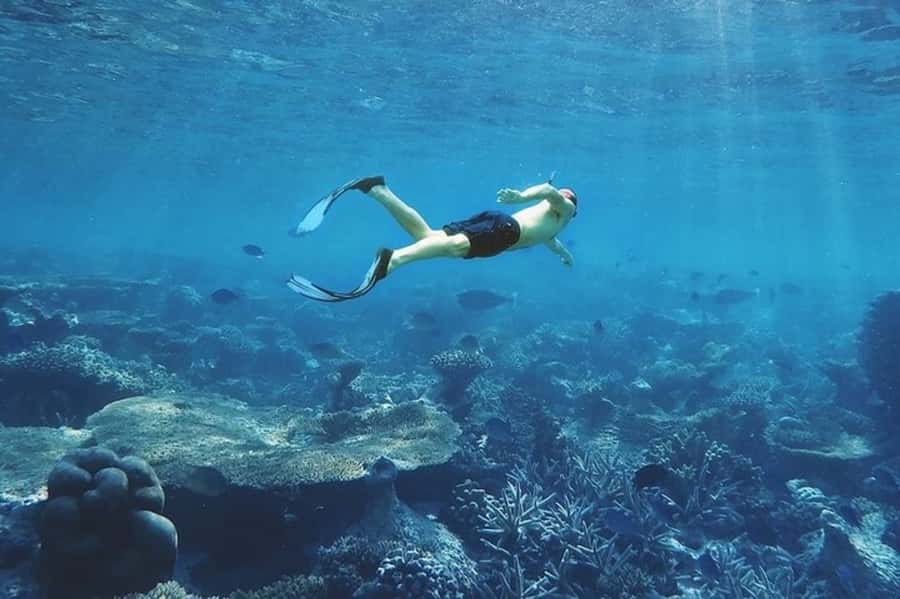 Muscat: Snorkeling and Dolphin Watching Tour - How this compares with a standard city day