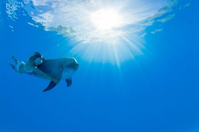 Must-DO The only and Unique Natural Space Dolphin Encounter Cabo - Key points at a glance