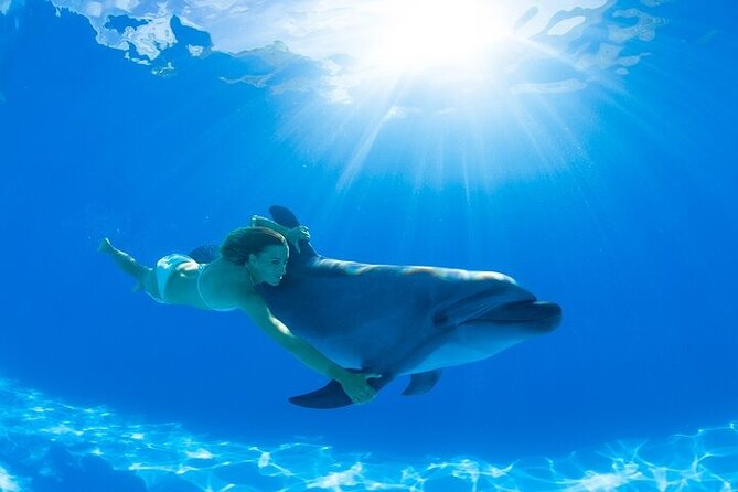 Must-DO The only and Unique Natural Space Dolphin Encounter Cabo - What happens during the one-hour visit