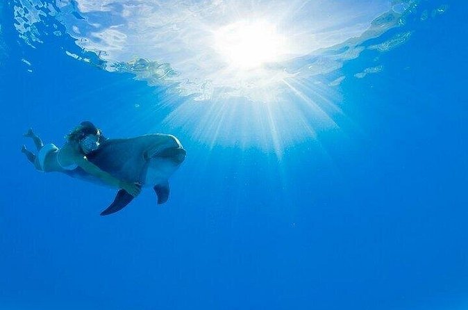 Must-DO The only and Unique Natural Space Dolphin Encounter Cabo - San José del Cabo location and transport choices