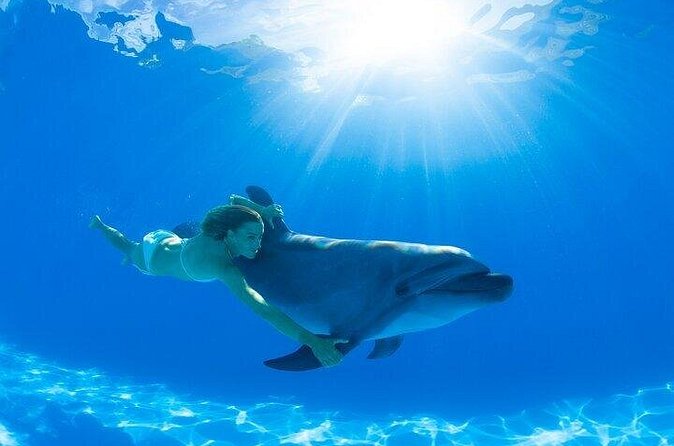 Must-DO The only and Unique Natural Space Dolphin Encounter Cabo - Who should book this dolphin encounter?