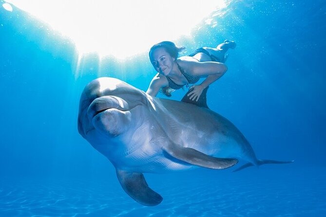 Must-DO The only and Unique Natural Space Dolphin Encounter Cabo - Why the small group size matters