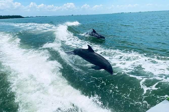 Myrtle Beach Dolphin Cruise - Quick facts about this Little River boat ride