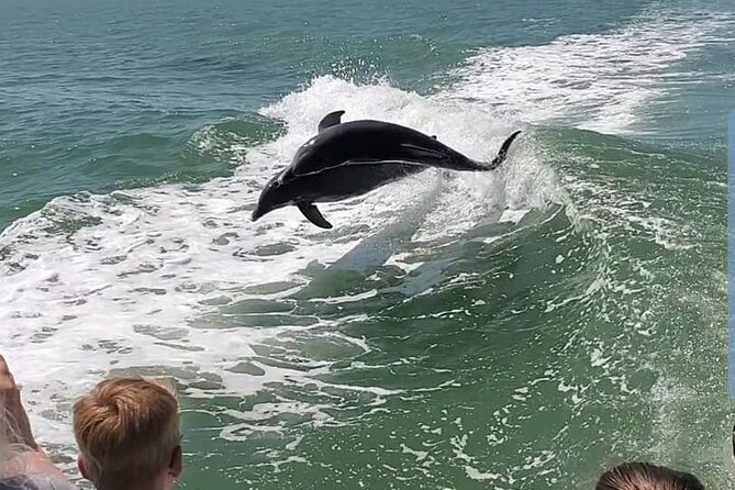 Myrtle Beach Dolphin Cruise - Calabash and the North Carolina coast