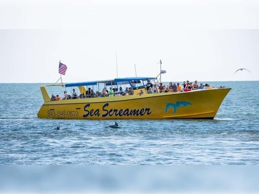 Myrtle Beach: Dolphin Cruise on the Sea Screamer - Key points to know before boarding