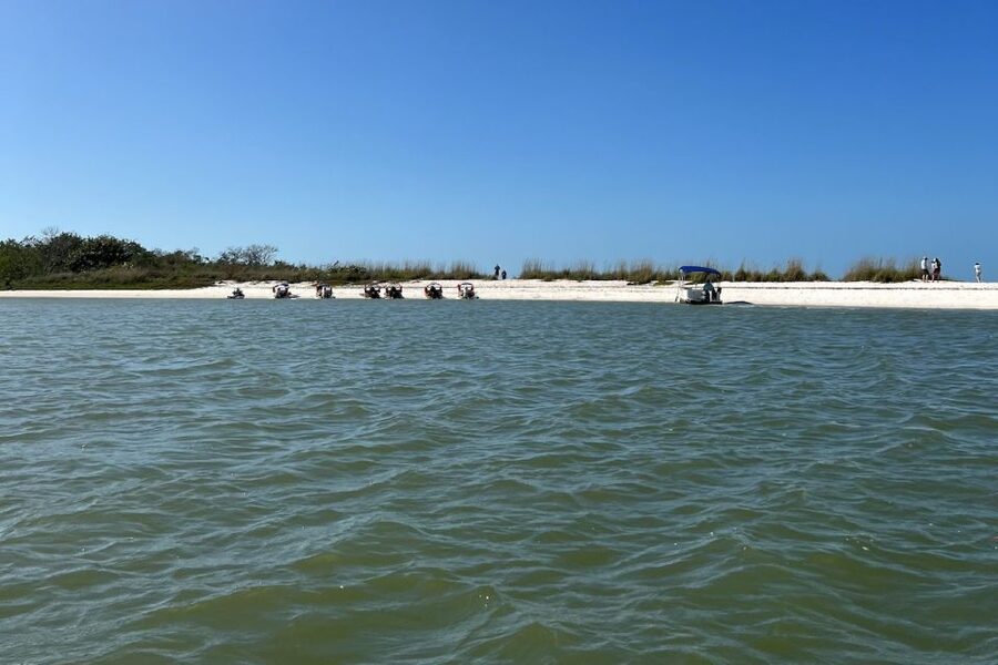 Naples, FL: Manatee, Dolphin, 10,000 Islands Beach Eco Tour - Whitehorse Island and the beach stop