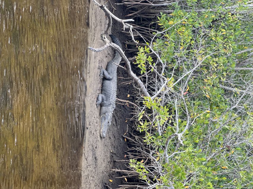Naples, FL: Manatee, Dolphin, 10,000 Islands Beach Eco Tour - What the $129 price really buys