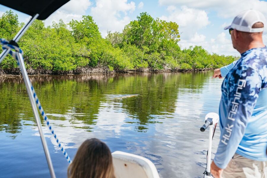 Naples, FL: Manatee, Dolphin, 10,000 Islands Beach Eco Tour - Practical advice before you go