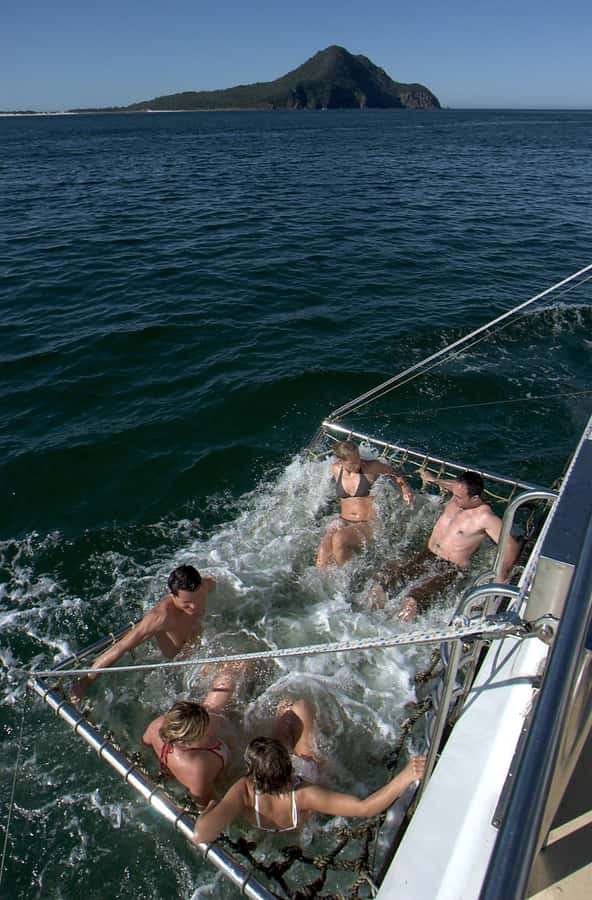 Nelson Bay: Dolphin Watch Cruise and Sail - The return under sail