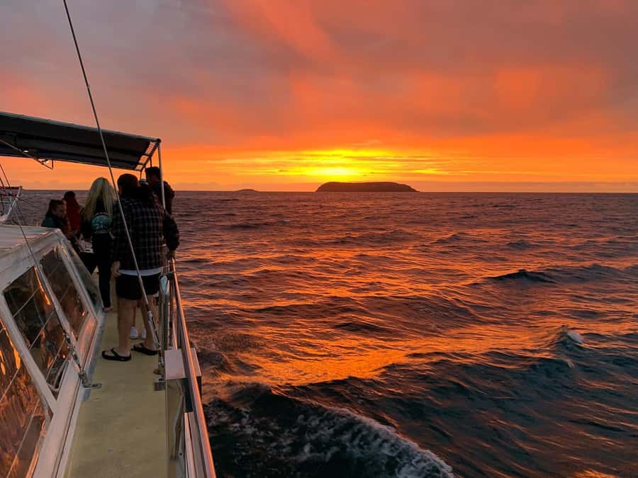 Nelson Bay: Whale and Dolphin Watching Catamaran Cruise - Commentary That Adds More Than Whale Names