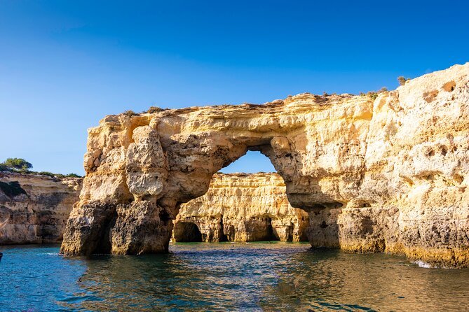 NEW Lagos-Watching Dolphins and Benagil Cave with Biologists - Price, group size, and overall value