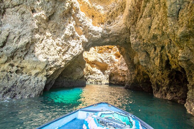 NEW Lagos-Watching Dolphins and Benagil Cave with Biologists - Who will enjoy this boat trip most