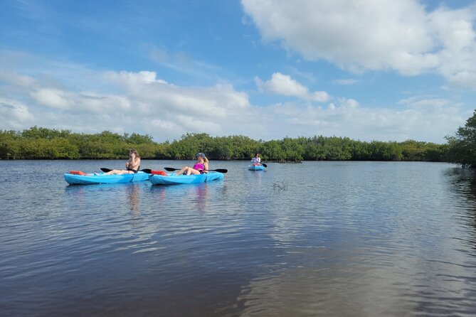 New Smyrna Dolphin and Manatee Kayak and SUP Adventure Tour - What this New Smyrna water tour is really like