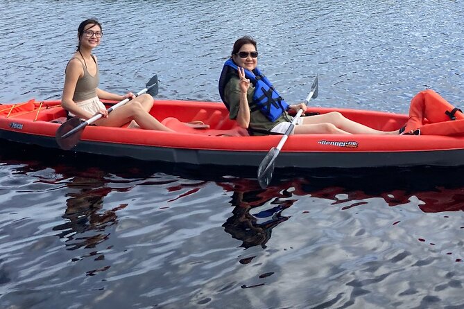 New Smyrna Dolphin and Manatee Kayak and SUP Adventure Tour - Kayak or paddleboard?