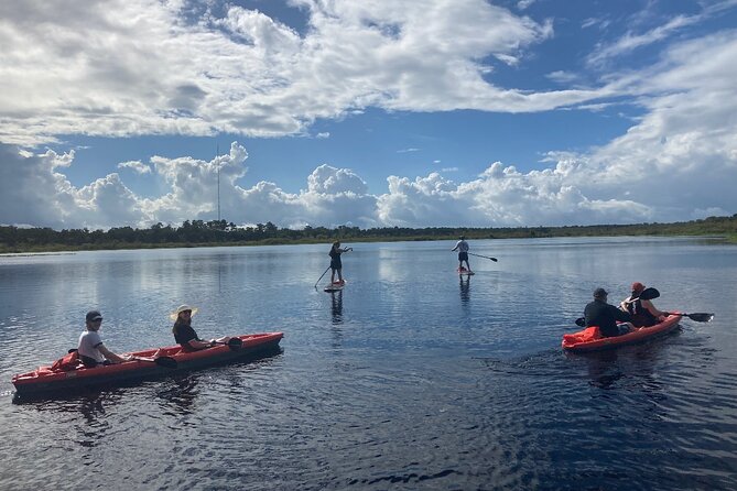 New Smyrna Dolphin and Manatee Kayak and SUP Adventure Tour - Mangroves, bridges, and the changing route