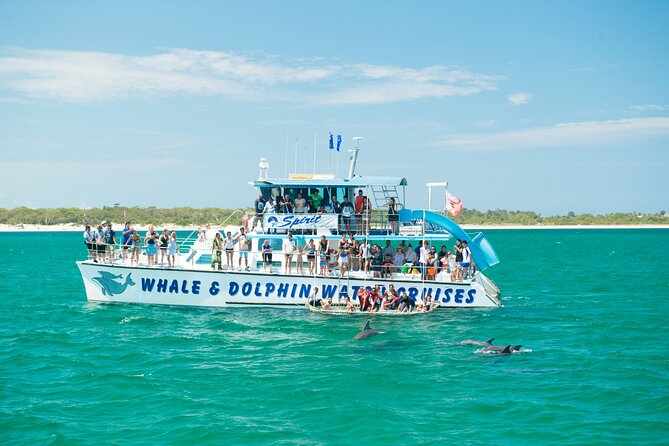 Newcastle: Port Stephens day tour - Dolphins, hike & swim! - Key points at a glance