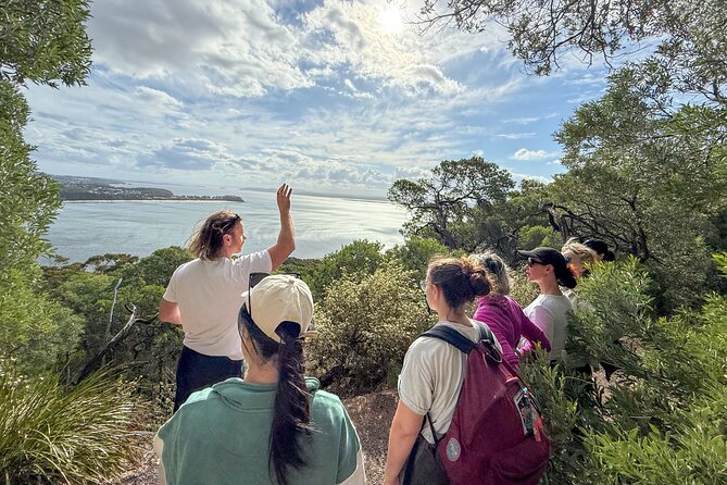 Newcastle: Port Stephens day tour - Dolphins, hike & swim! - Is $172.14 good value?