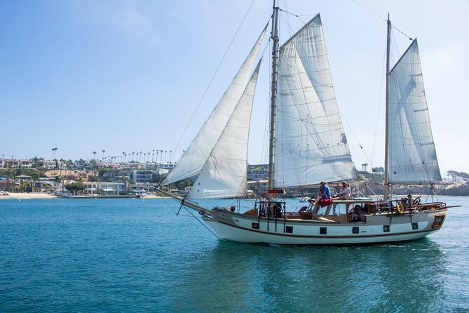 Newport Beach: Whale and Dolphin-Watching Cruise - Quick reasons to consider this cruise