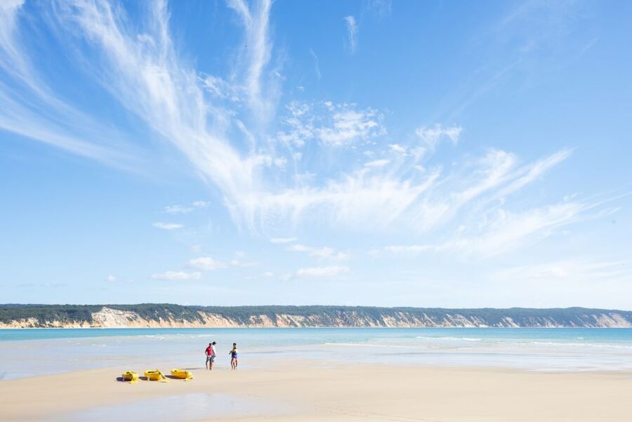 Noosa: Epic Ocean Kayak with Dolphins & 4WD Beach Adventure - Is $118 good value?