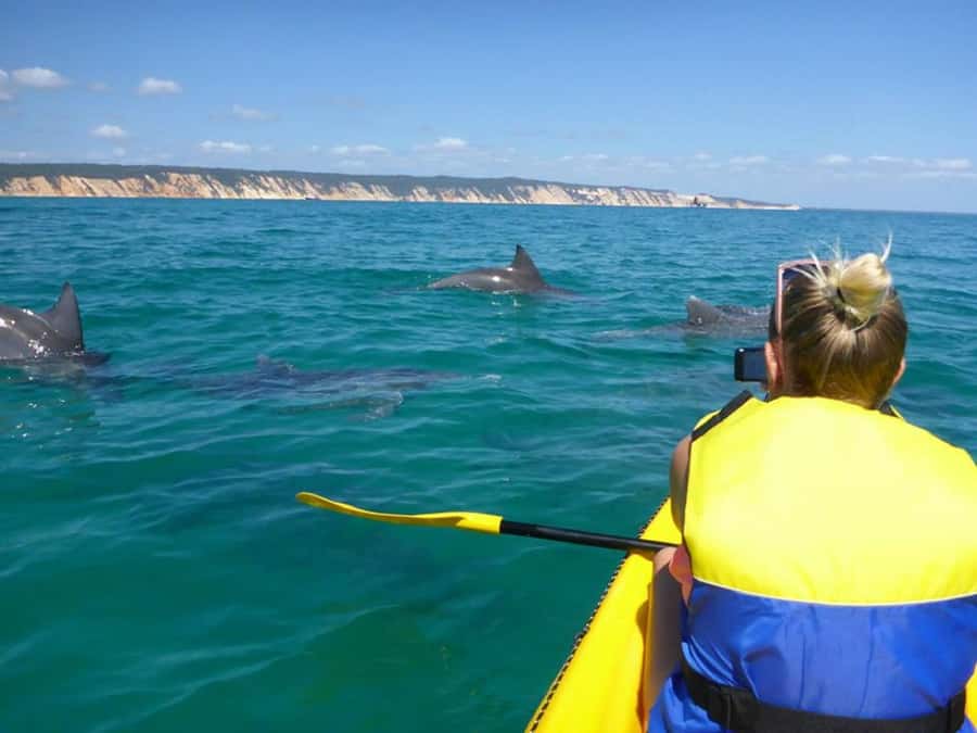 Noosa: Epic Ocean Kayak with Dolphins & 4WD Beach Adventure - Why this Noosa trip feels different
