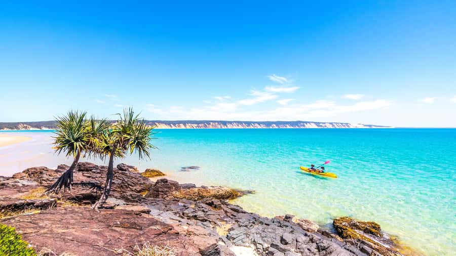 Noosa: Epic Ocean Kayak with Dolphins & 4WD Beach Adventure - The guides make the difference