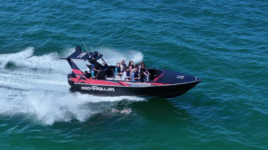 Noosa: Noosa Ocean Adventure with Dolphin Watching - Dolphin watching at Boiling Pot and Dolphin Point