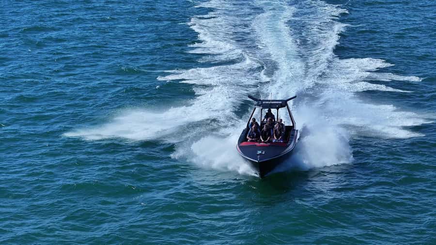 Noosa: Noosa Ocean Adventure with Dolphin Watching - Seeing Noosa Headland from the water