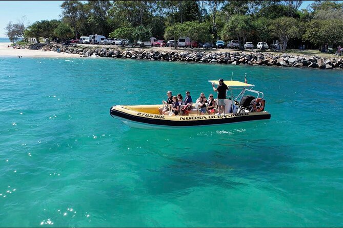 Noosa ocean adventure & Dolphin safari. - Quick points before you book