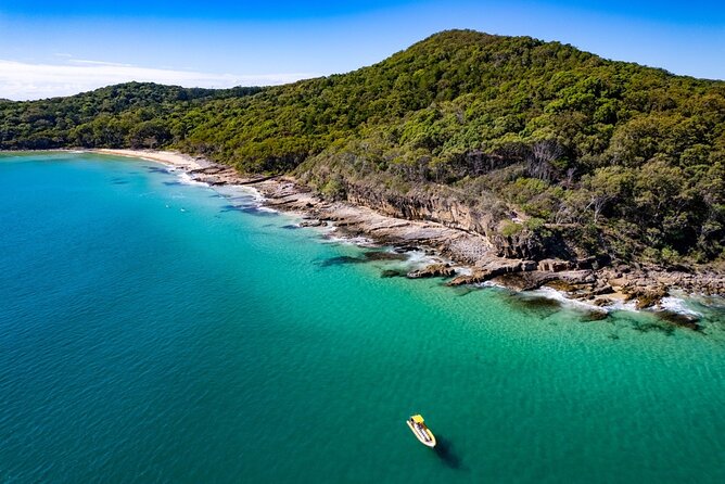 Noosa ocean adventure & Dolphin safari. - Starting at Noosa Marina in Tewantin