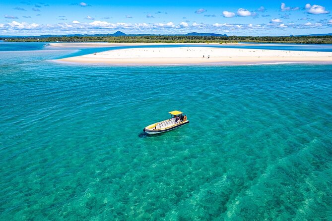 Noosa ocean adventure & Dolphin safari. - Dolphin spotting and other marine life