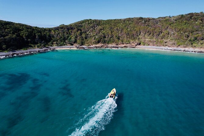 Noosa ocean adventure & Dolphin safari. - Is $68.14 a fair price?