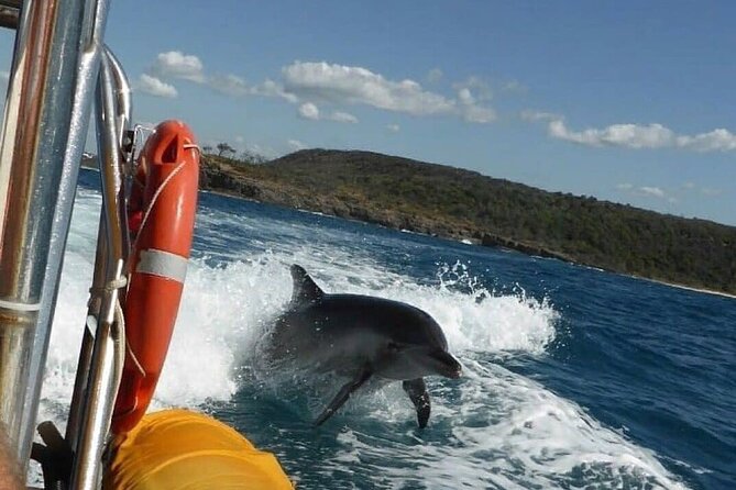 Noosa Ocean adventure & Dolphin Safari. - The Ocean Rider makes speed part of the tour