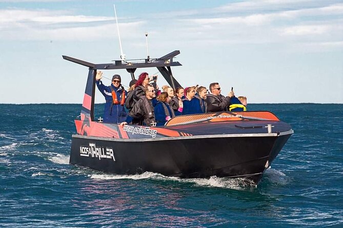 Noosa Ocean Adventures: Dolphins - Key points before you book
