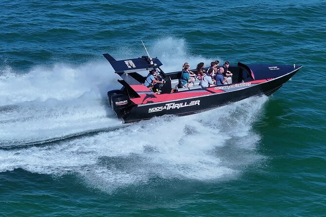 Noosa Ocean Adventures: Dolphins - Why this Noosa boat ride is worth your time