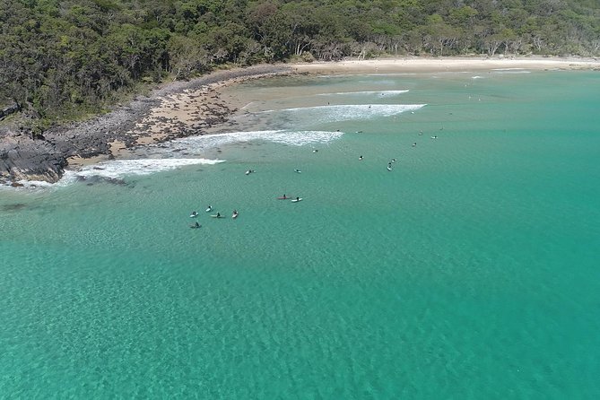Noosa Ocean Adventures: Dolphins - What the boat ride feels like