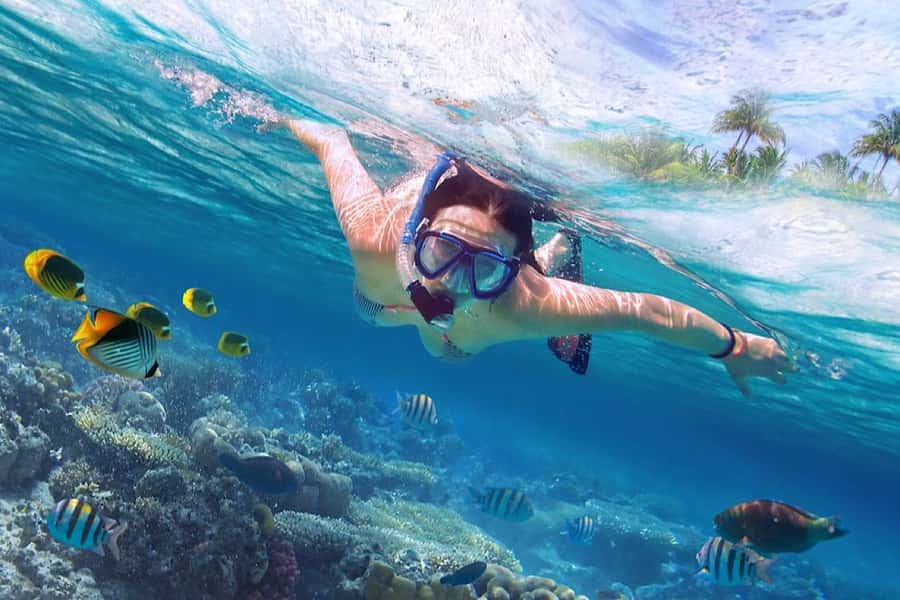North Bali: Dolphin, Ulun Danu Temple, & Banyumala Waterfall - Key points to know before booking